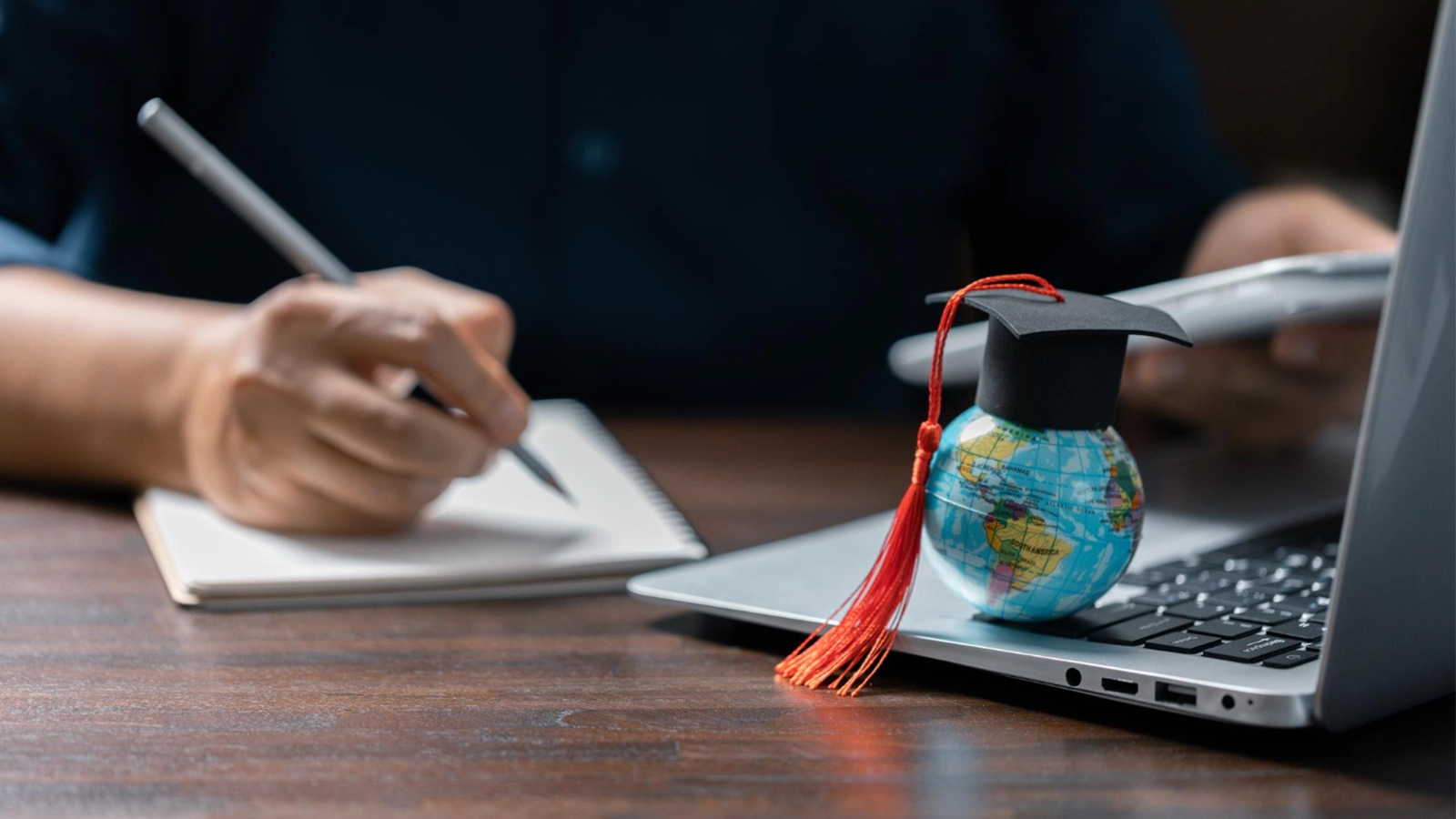 StepStone Overseas Education case study — SEO & Organic Growth, Website Design & Development