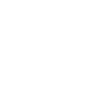 Kashmir Zari House logo