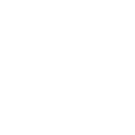 T.intl logo