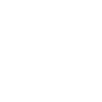Vertigo International logo